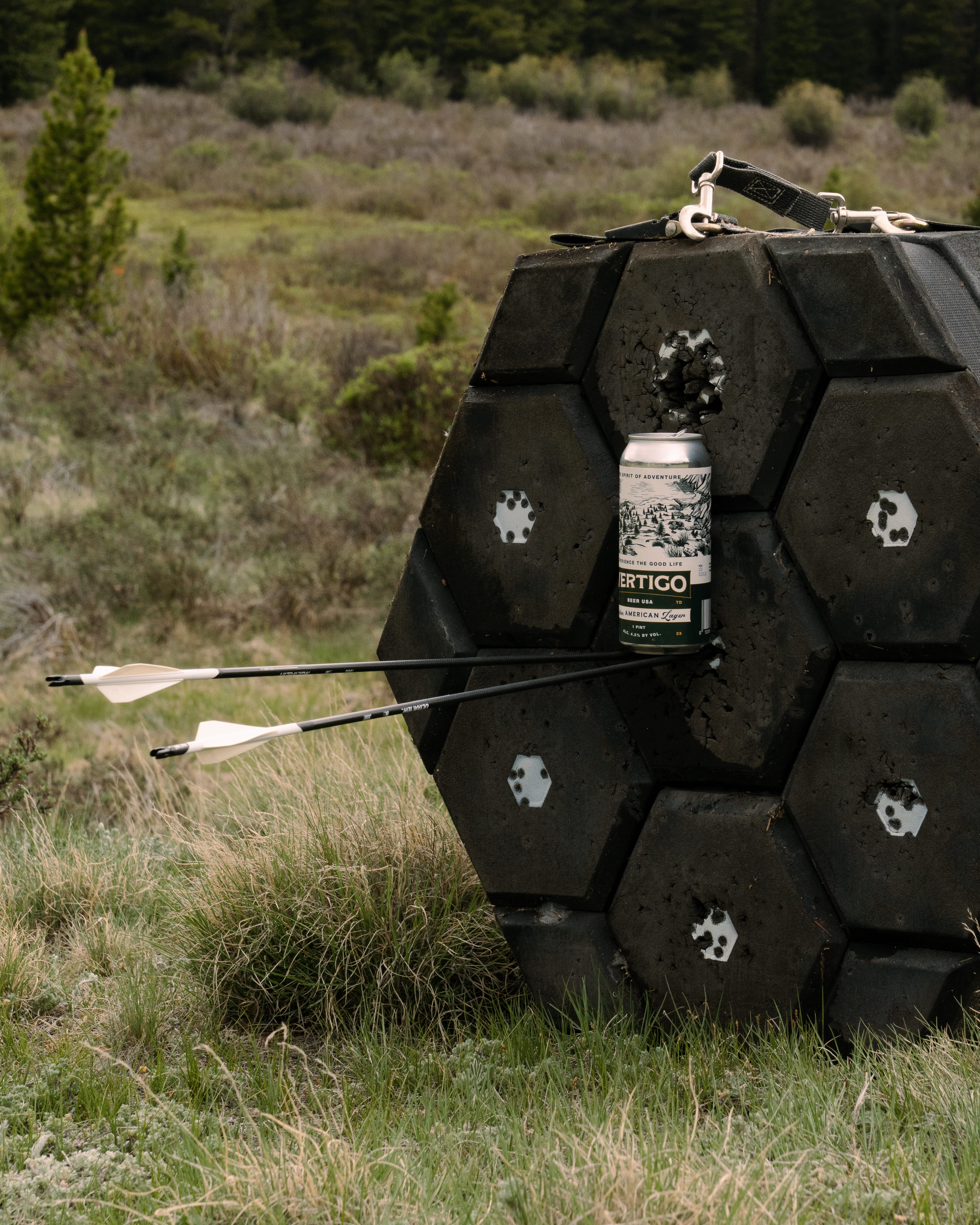 Can resting on two arrows in a target