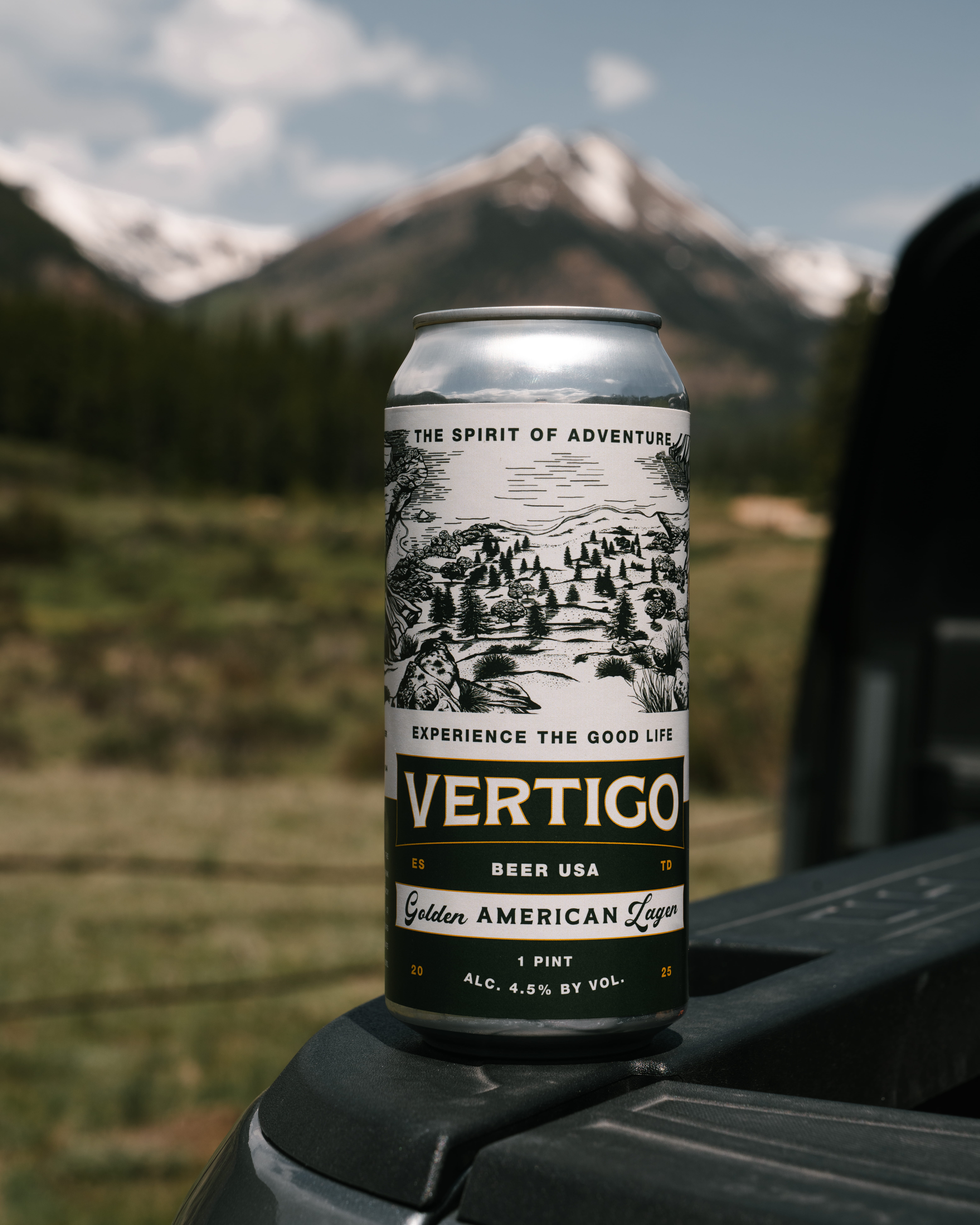 Vertigo Golden Mexican Lager can