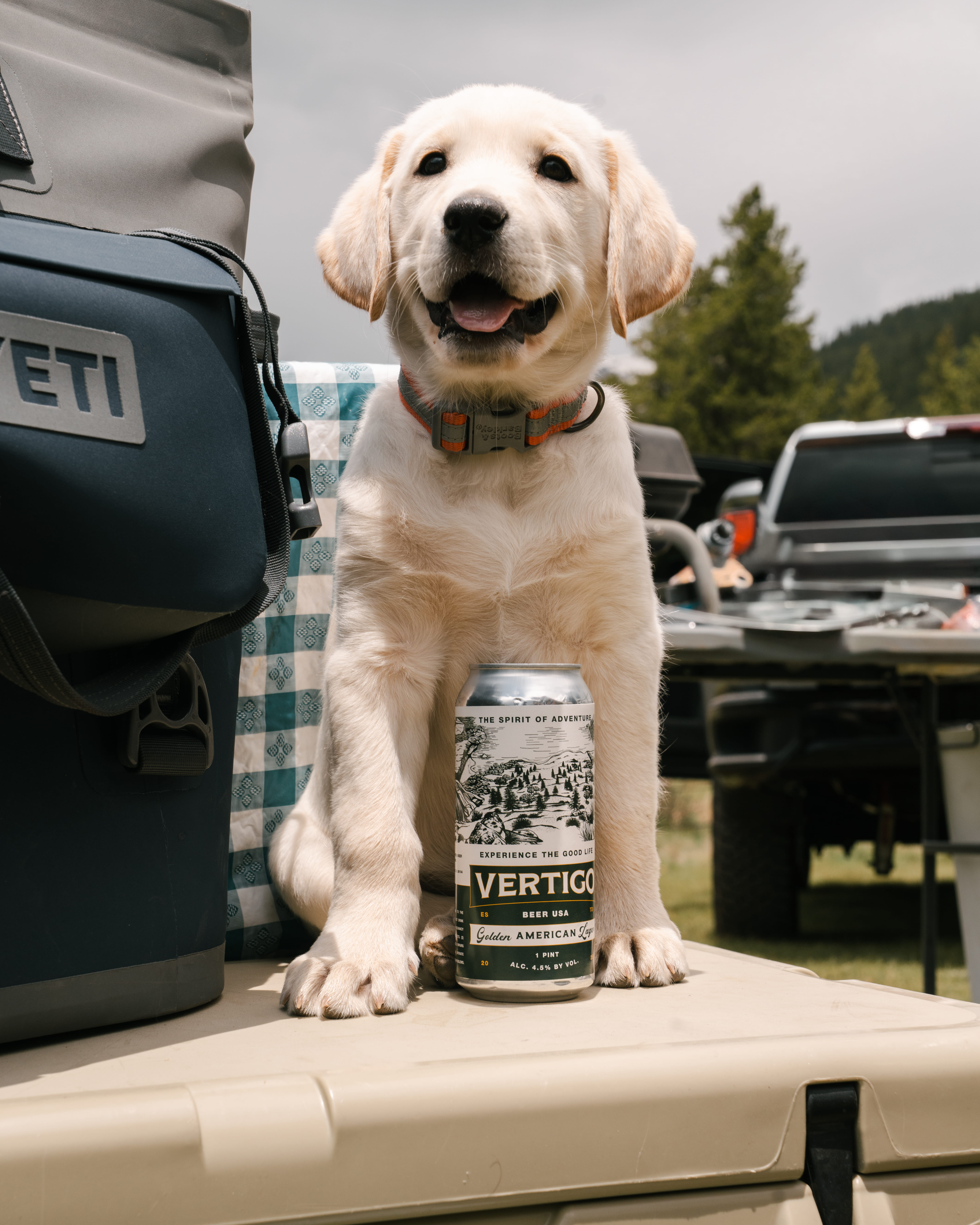 Adventurers celebrating at mountain campsite